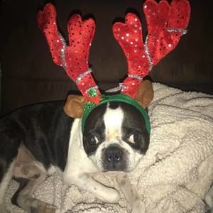 Meet your Posher, Pat